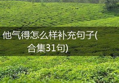 他气得怎么样补充句子(合集31句)