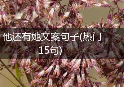 他还有她文案句子(热门15句)