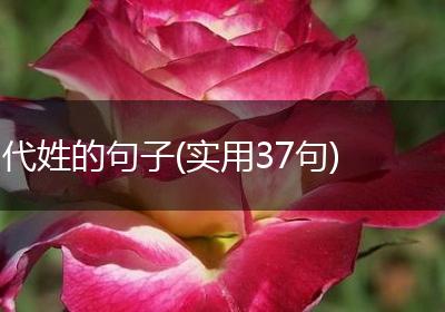 代姓的句子(实用37句)
