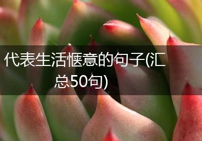 代表生活惬意的句子(汇总50句)