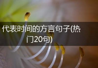 代表时间的方言句子(热门20句)