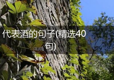 代表酒的句子(精选40句)