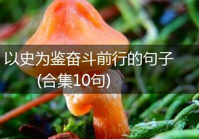 以史为鉴奋斗前行的句子(合集10句)