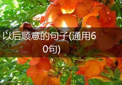 以后顺意的句子(通用60句)