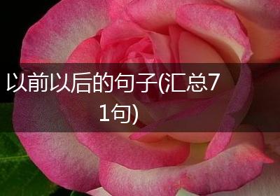 以前以后的句子(汇总71句)