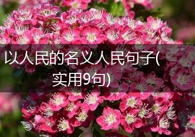 以人民的名义人民句子(实用9句)
