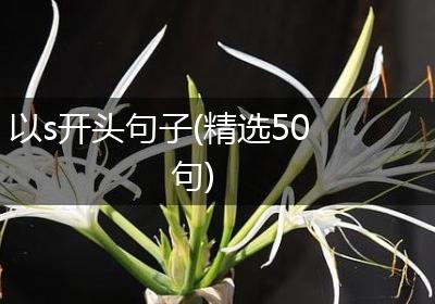 以s开头句子(精选50句)