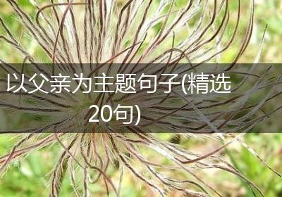 以父亲为主题句子(精选20句)