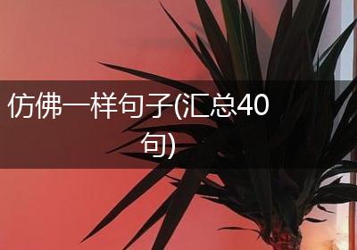 仿佛一样句子(汇总40句)