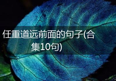 任重道远前面的句子(合集10句)