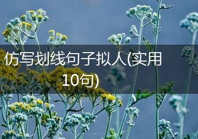 仿写划线句子拟人(实用10句)