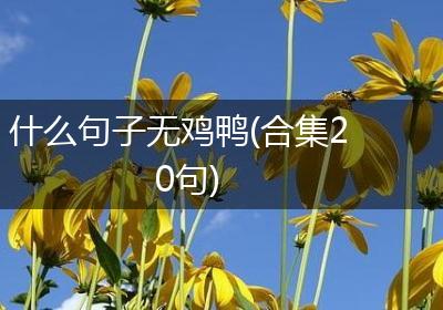 什么句子无鸡鸭(合集20句)