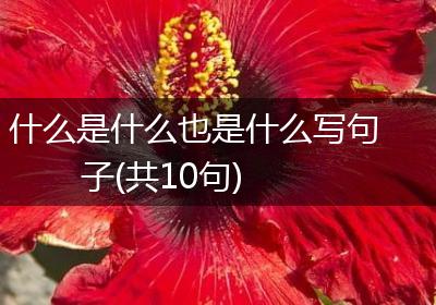 什么是什么也是什么写句子(共10句)
