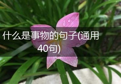 什么是事物的句子(通用40句)