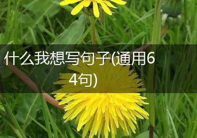 什么我想写句子(通用64句)