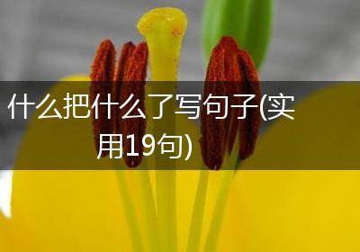 什么把什么了写句子(实用19句)
