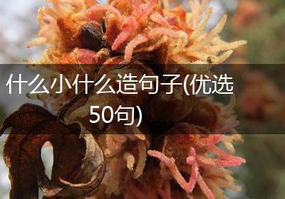 什么小什么造句子(优选50句)