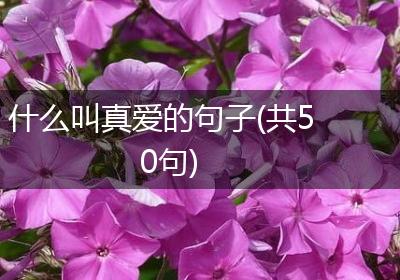 什么叫真爱的句子(共50句)
