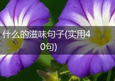什么的滋味句子(实用40句)
