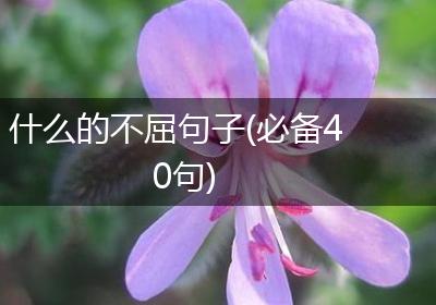 什么的不屈句子(必备40句)