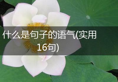 什么是句子的语气(实用16句)