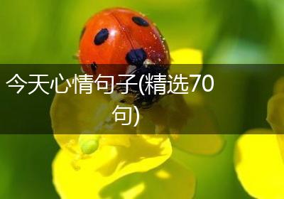 今天心情句子(精选70句)