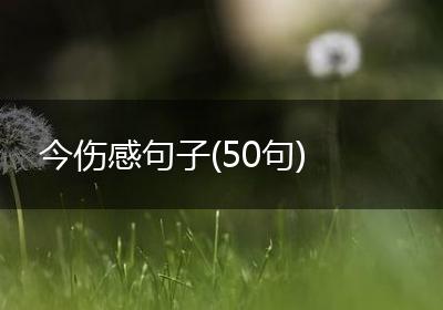 今伤感句子(50句)