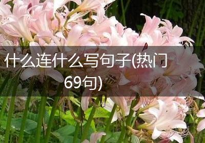 什么连什么写句子(热门69句)