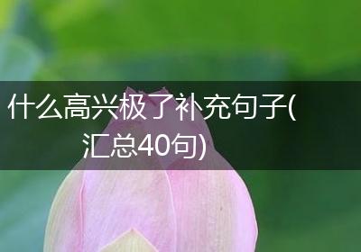 什么高兴极了补充句子(汇总40句)