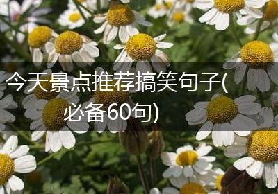 今天景点推荐搞笑句子(必备60句)