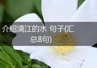 介绍漓江的水 句子(汇总8句)