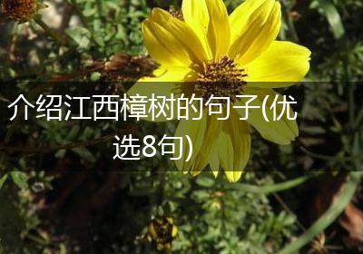 介绍江西樟树的句子(优选8句)