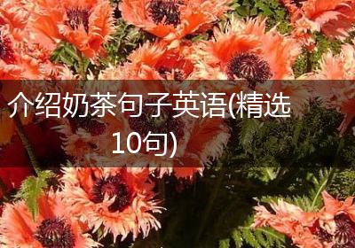 介绍奶茶句子英语(精选10句)