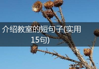 介绍教室的短句子(实用15句)