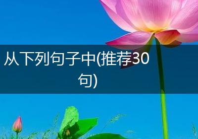 从下列句子中(推荐30句)