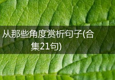 从那些角度赏析句子(合集21句)
