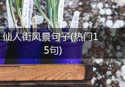 仙人街风景句子(热门15句)