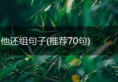 他还组句子(推荐70句)