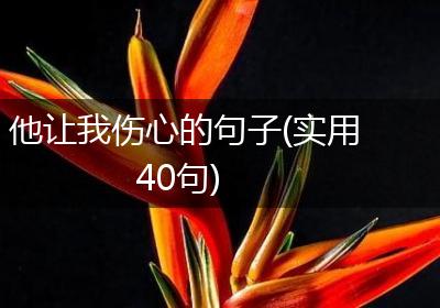 他让我伤心的句子(实用40句)
