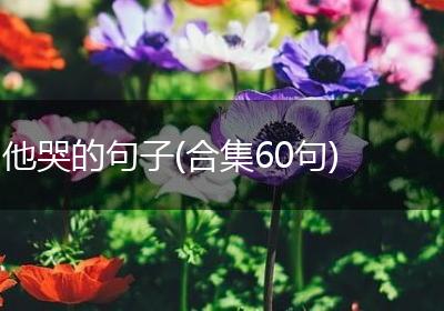 他哭的句子(合集60句)