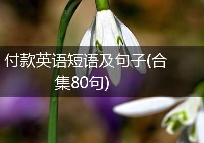 付款英语短语及句子(合集80句)