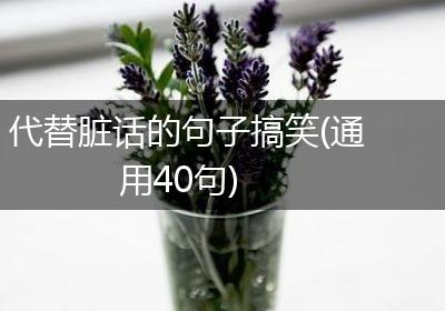 代替脏话的句子搞笑(通用40句)