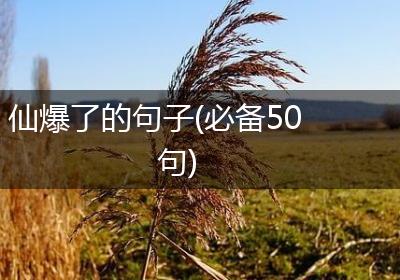 仙爆了的句子(必备50句)
