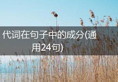 代词在句子中的成分(通用24句)