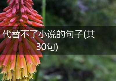 代替不了小说的句子(共30句)