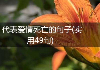 代表爱情死亡的句子(实用49句)