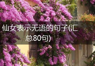 仙女表示无语的句子(汇总80句)