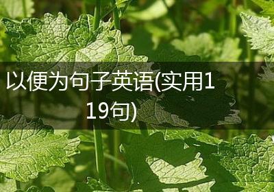 以便为句子英语(实用119句)