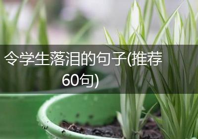 令学生落泪的句子(推荐60句)