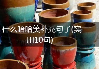 什么哈哈笑补充句子(实用10句)